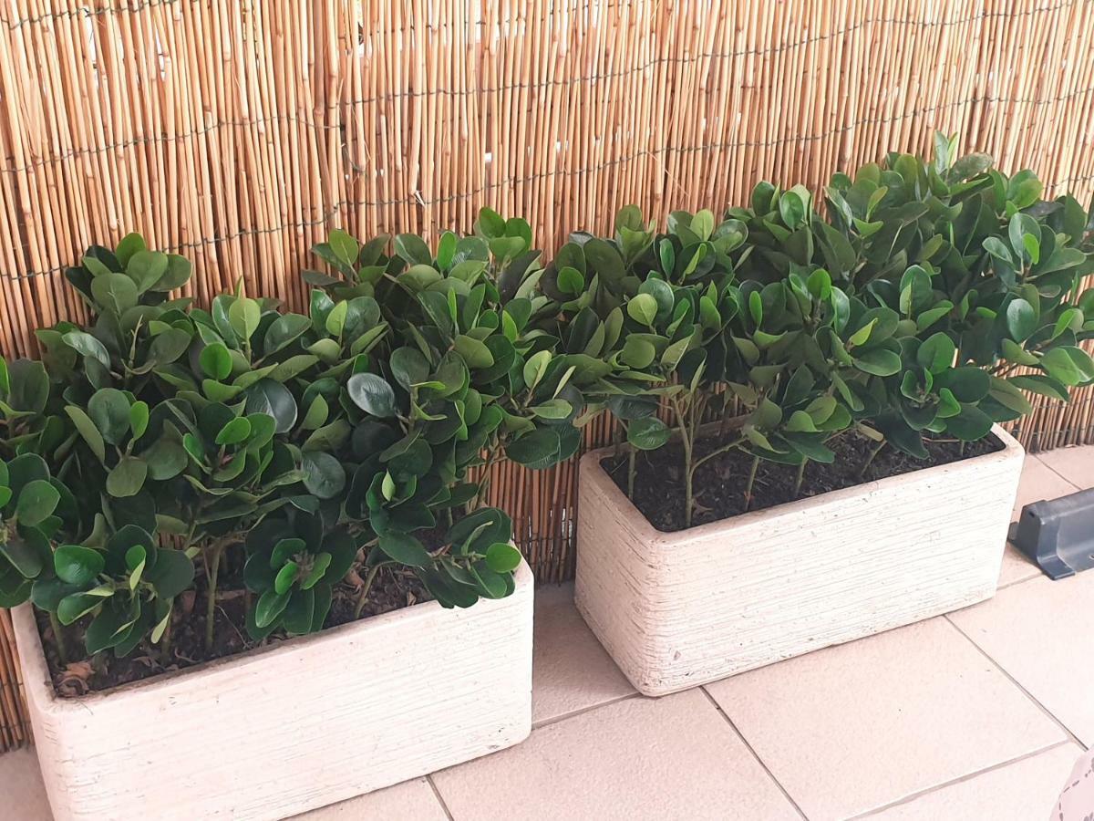 Dimora Montalto,Indipendente Con Terrazzo Privato Villa Syracuse Luaran gambar